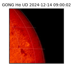 gong - 2024-12-14T09:00:02