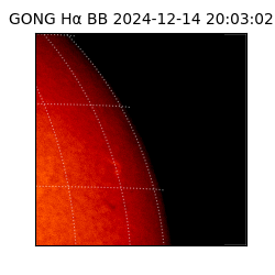 gong - 2024-12-14T20:03:02