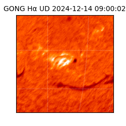gong - 2024-12-14T09:00:02