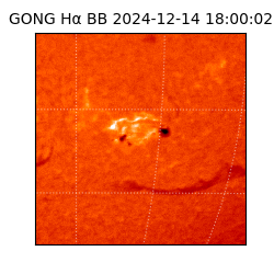 gong - 2024-12-14T18:00:02