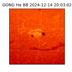 gong - 2024-12-14T20:03:02