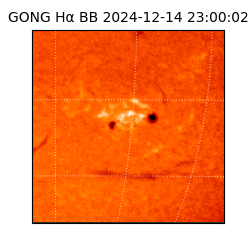gong - 2024-12-14T23:00:02