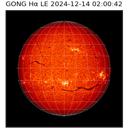 gong - 2024-12-14T02:00:42