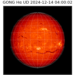 gong - 2024-12-14T04:00:02