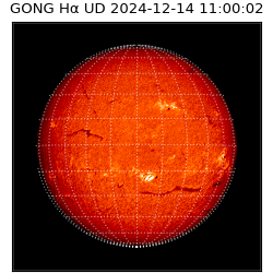 gong - 2024-12-14T11:00:02