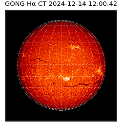 gong - 2024-12-14T12:00:42