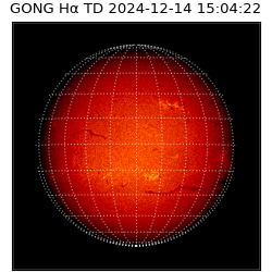 gong - 2024-12-14T15:04:22