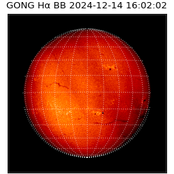 gong - 2024-12-14T16:02:02