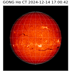 gong - 2024-12-14T17:00:42
