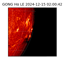 gong - 2024-12-15T02:00:42