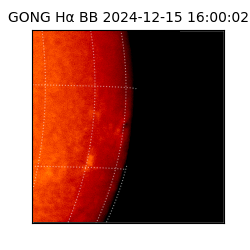 gong - 2024-12-15T16:00:02