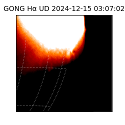 gong - 2024-12-15T03:07:02