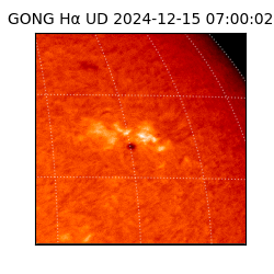 gong - 2024-12-15T07:00:02