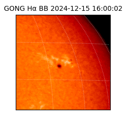 gong - 2024-12-15T16:00:02