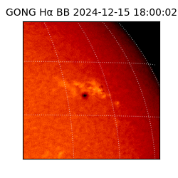 gong - 2024-12-15T18:00:02