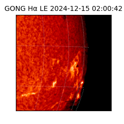 gong - 2024-12-15T02:00:42
