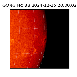 gong - 2024-12-15T20:00:02