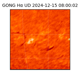 gong - 2024-12-15T08:00:02