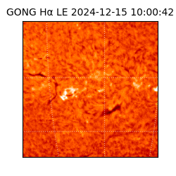gong - 2024-12-15T10:00:42