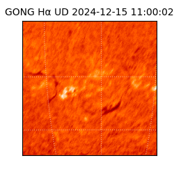 gong - 2024-12-15T11:00:02