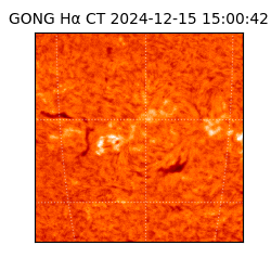 gong - 2024-12-15T15:00:42