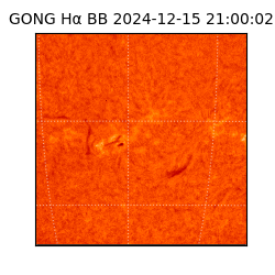 gong - 2024-12-15T21:00:02