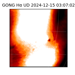 gong - 2024-12-15T03:07:02