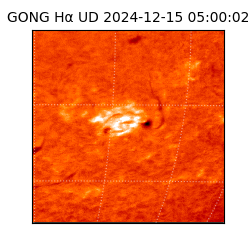 gong - 2024-12-15T05:00:02