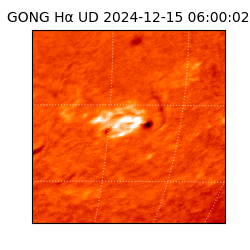 gong - 2024-12-15T06:00:02