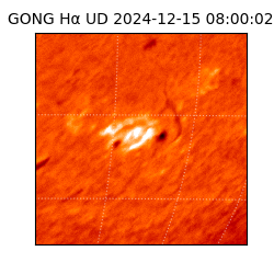gong - 2024-12-15T08:00:02