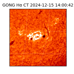 gong - 2024-12-15T14:00:42