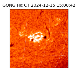 gong - 2024-12-15T15:00:42