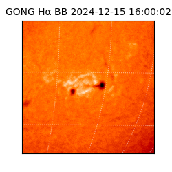 gong - 2024-12-15T16:00:02