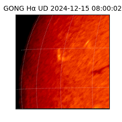 gong - 2024-12-15T08:00:02