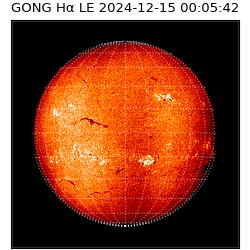 gong - 2024-12-15T00:05:42