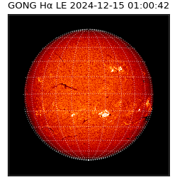 gong - 2024-12-15T01:00:42