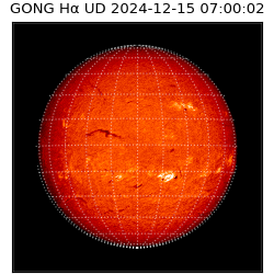 gong - 2024-12-15T07:00:02