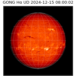 gong - 2024-12-15T08:00:02