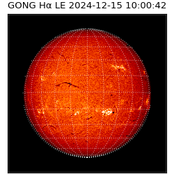 gong - 2024-12-15T10:00:42