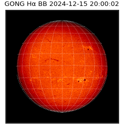 gong - 2024-12-15T20:00:02