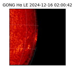 gong - 2024-12-16T02:00:42