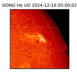 gong - 2024-12-16T05:00:02