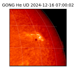 gong - 2024-12-16T07:00:02