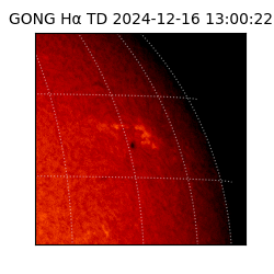 gong - 2024-12-16T13:00:22