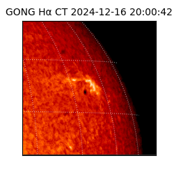 gong - 2024-12-16T20:00:42
