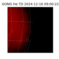 gong - 2024-12-16T09:00:22