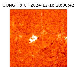 gong - 2024-12-16T20:00:42