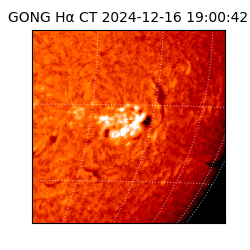 gong - 2024-12-16T19:00:42