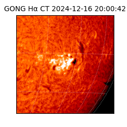 gong - 2024-12-16T20:00:42