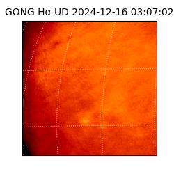 gong - 2024-12-16T03:07:02